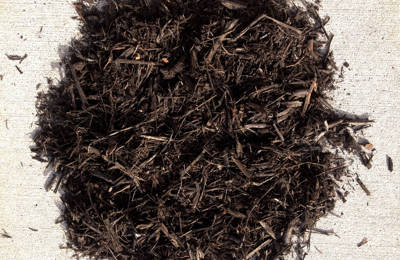 Dark Brown (1)