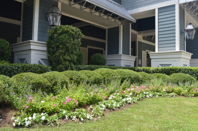 A garden of shrubs, hedges and flowers against a blue house.