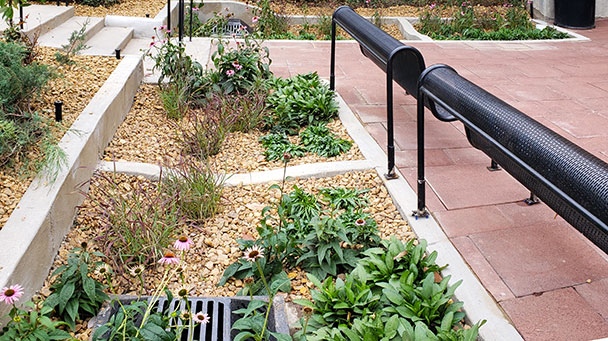 Benefits Of A Sustainable Landscape Sideimage3