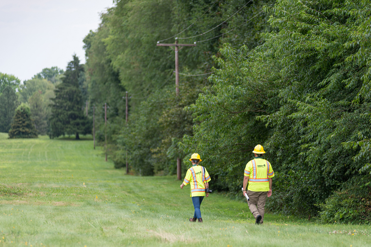 Utility Line Inventory for Tennessee Valley Electric Cooperative