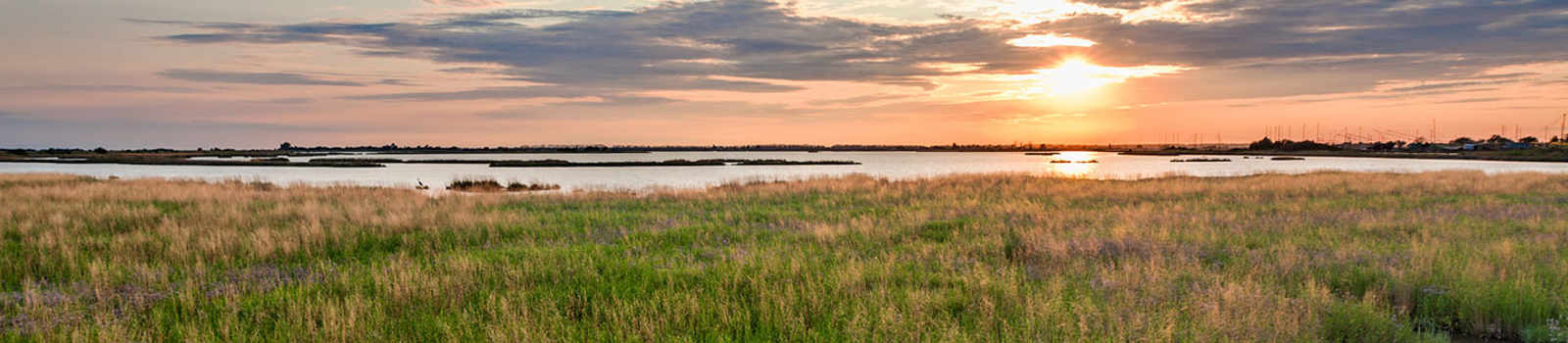 Stream & Wetland Permits & Delineation | Davey Resource Group | Davey Tree