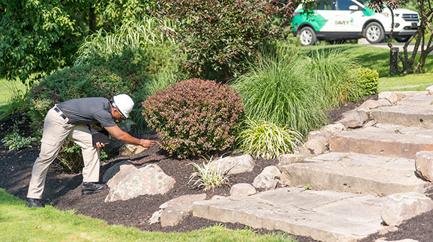 Commercial Blog Right Tree Right Place Sideimage2 608X341