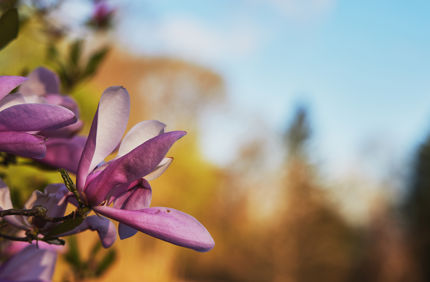 Stock 0031 7065X3974 6164006