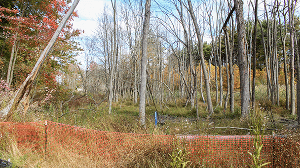 Envrionmental Project Profile Eng Redwood Apts Sideimage3 608X341