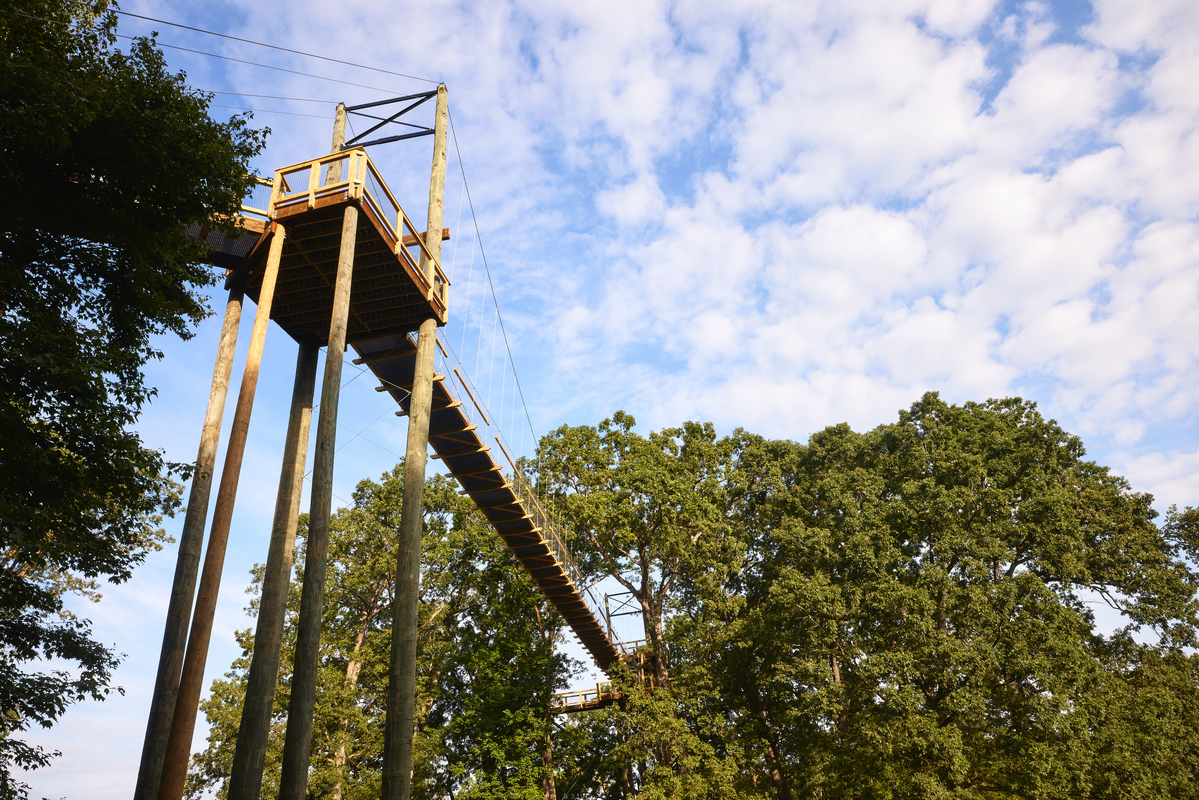 DI 0145 1200X800 5B2df79