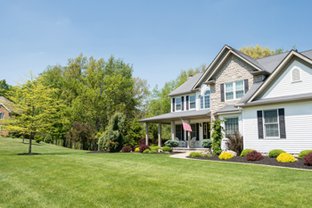 Residential tree care