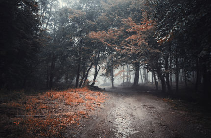 Fotolia 110397373 Subscription Monthly M