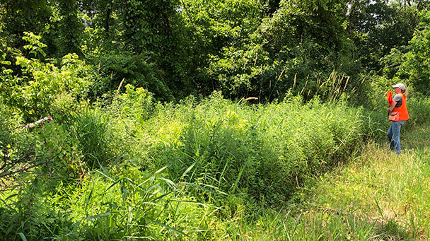 Project Profile Montgomery Township Nj Eder 0722 Sideimage2 608X341