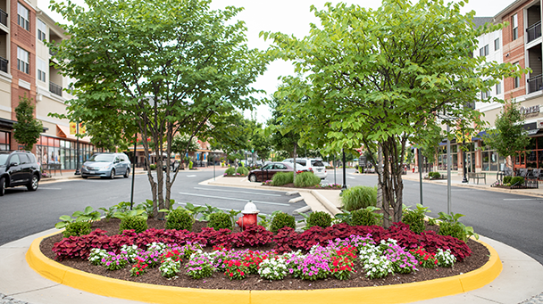 Villageatleesburg Sideimage3 608X341