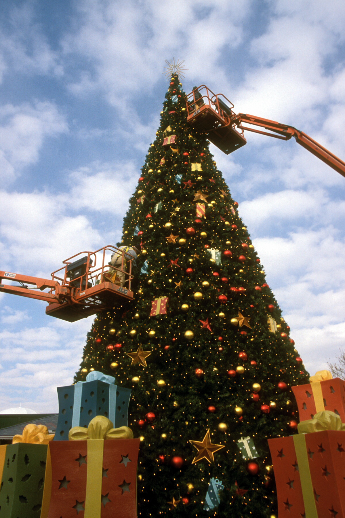Eastontree