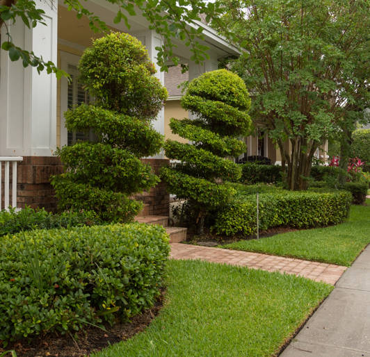 HOA Landscaping Services