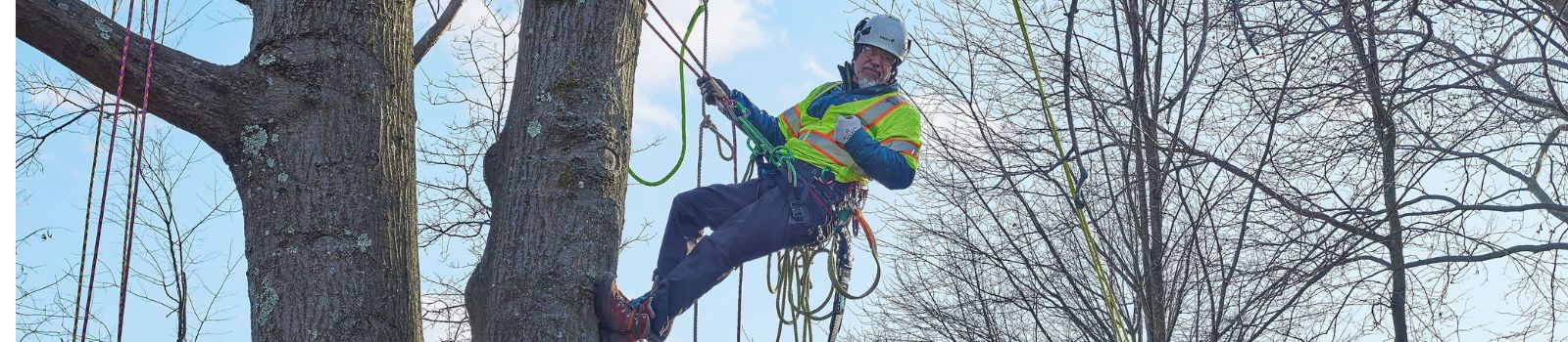 Expertise & Training | Davey Tree