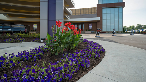 Rocksino Sideimage3 608X341