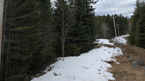 Emera Maine Sideimage 608X341