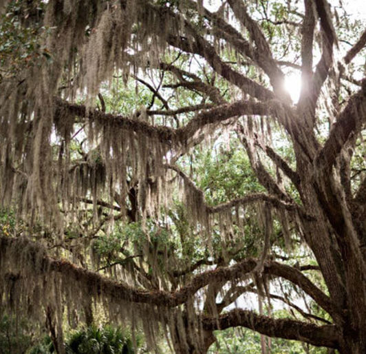 Office Details Alternating 640X426