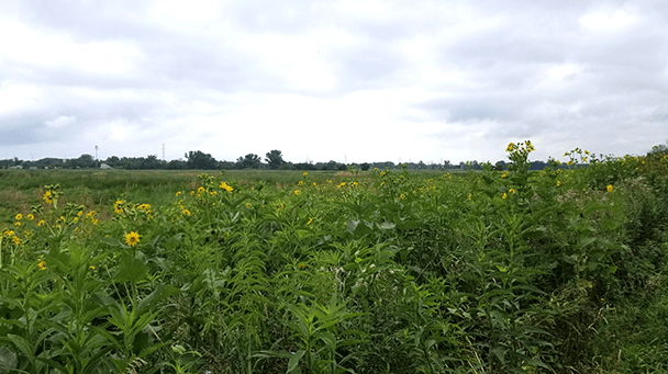Environmental Project Profile Lake Station Sideimage 608X341