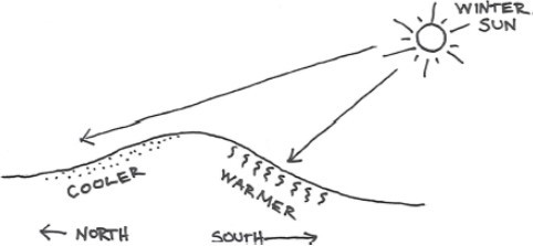 Landscape Architecture