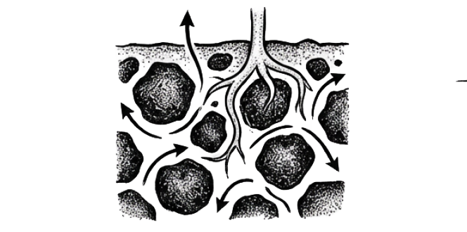 Icon 3 Roots In Ground