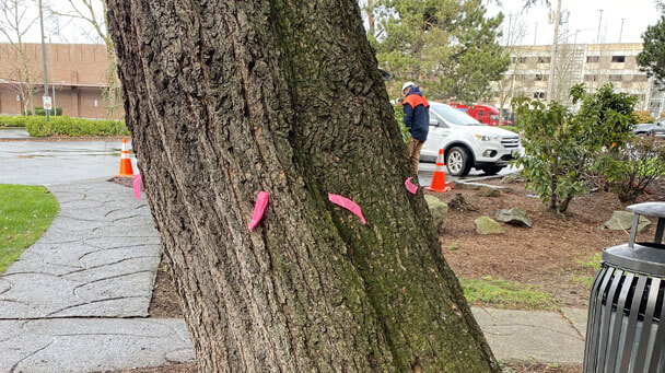 Kaibara Park Thumbnail 608X341