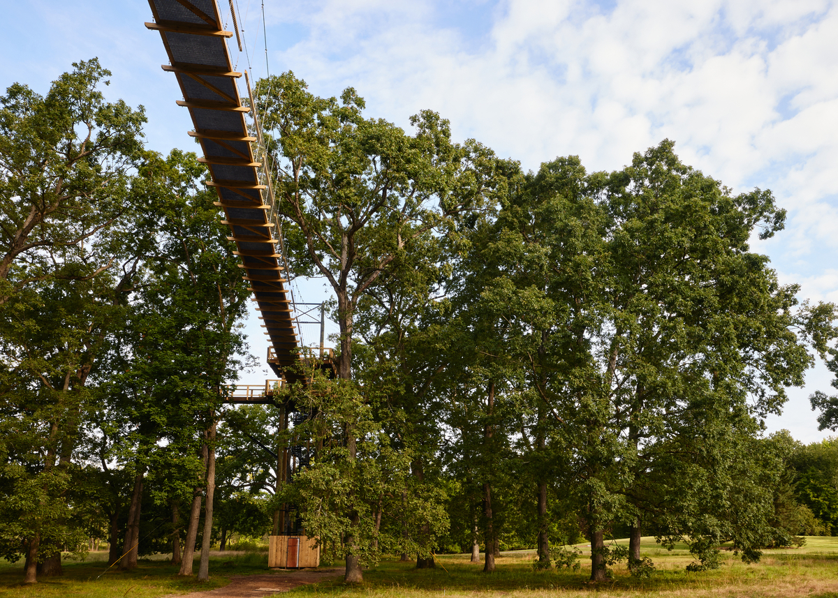 DI 0146 1200X857 Eb97591