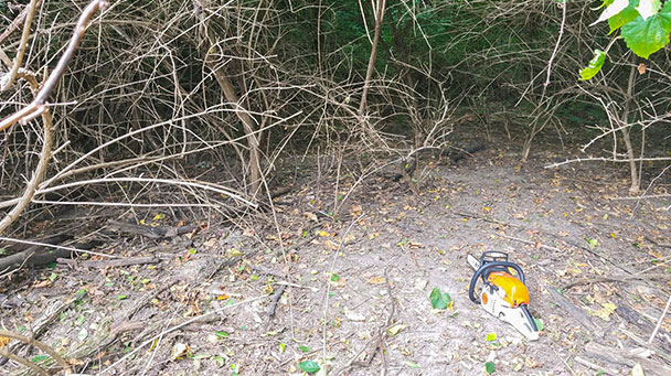 Project Profiles Clermon Sideimage3 608X341