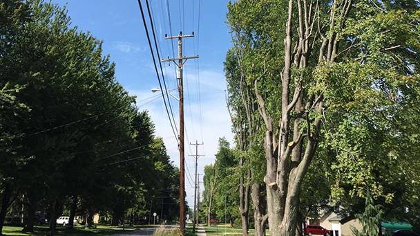 4 4 18 Photo Dump 608X341jpg