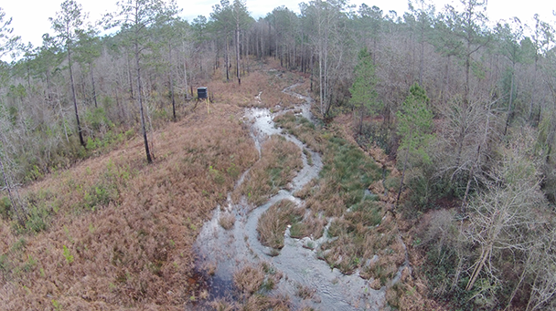 Project Profile Bachelors Delight Sideimage2 608X341