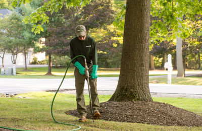 Subsurface Watering