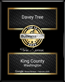 Top Tree Service
