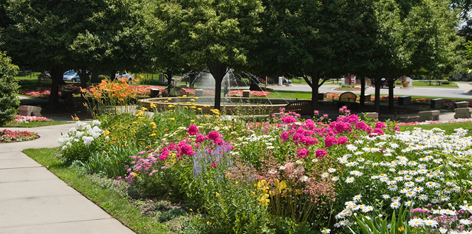 Henry Ford Banner 1440X500