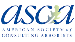 Asca