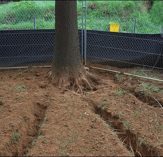 Radial Trenching