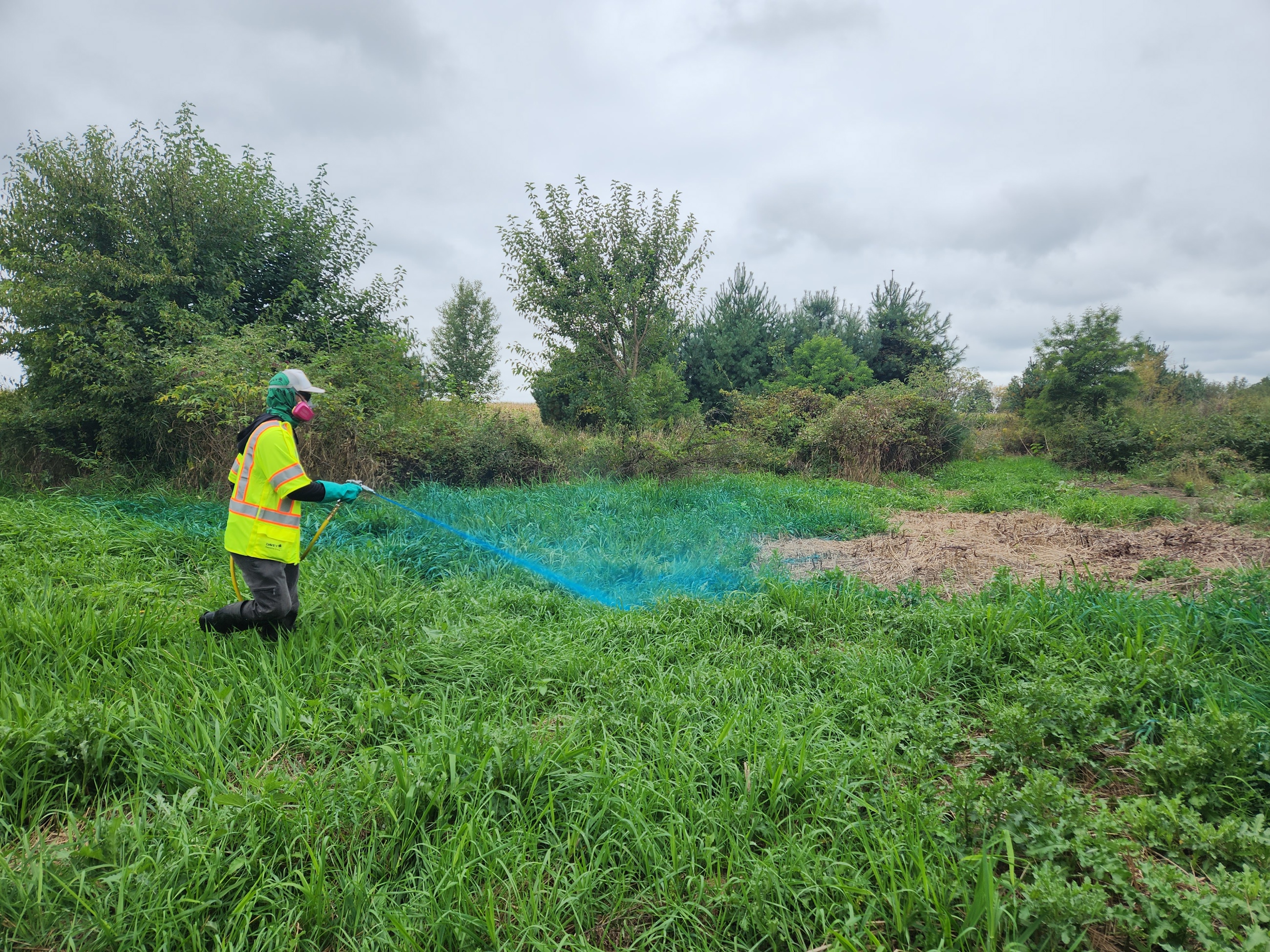 APPROVED BY SAFETY 20230928 110726