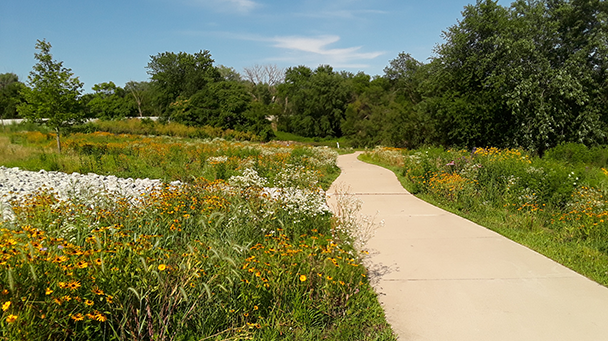 Environmental Project Profile Hobart Sideimage 608X341