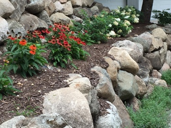 A garden with red and white flowered plants along a stone wall.