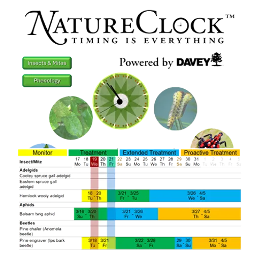 nature clock