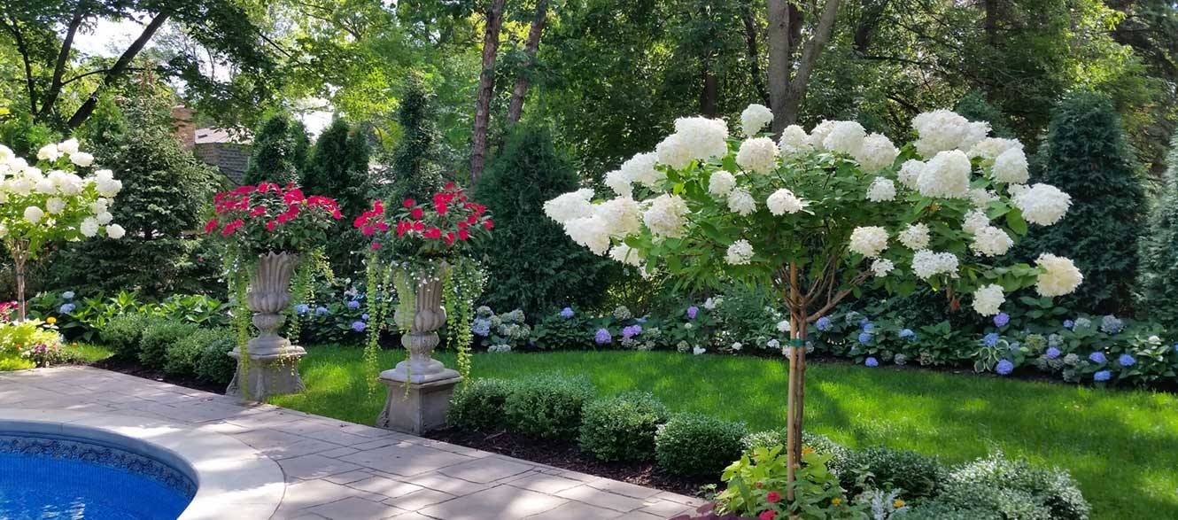 Davey Landscaping St. Paul & Minneapolis, Minnesota Davey Tree