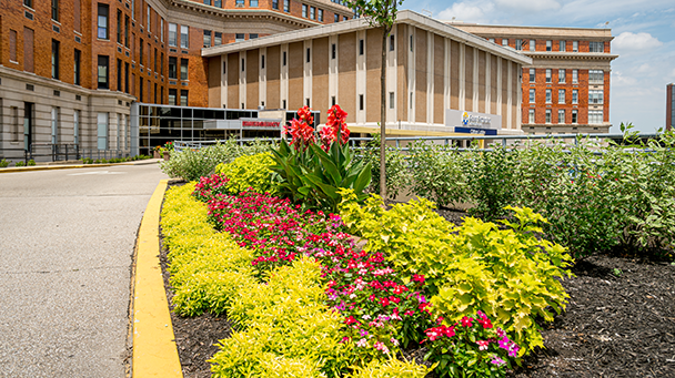 Commercial Css Trihealth Sideimage4 608X341