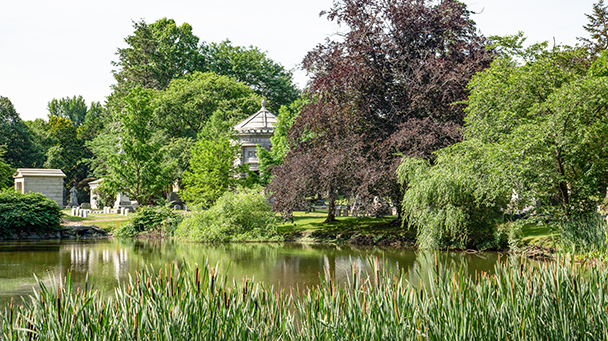 225 Woodlawn Sideimage2 608X341