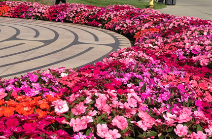 Commercial Blog How To Improve Your Business Curb Appeal With Landscape Enhancements Banner 1440X500