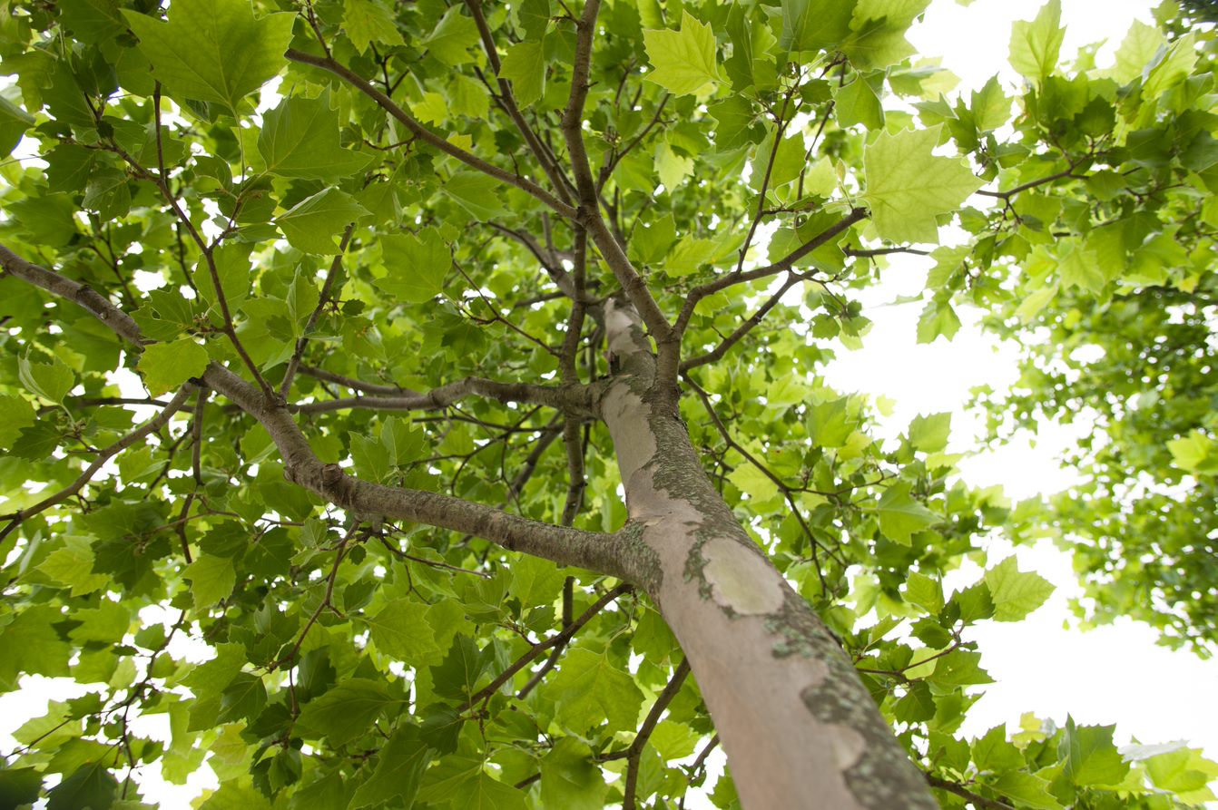 B017d6e8 4A6a 49E4 80C7 Cd54048bbab3