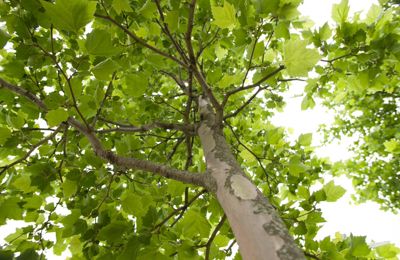 B017d6e8 4A6a 49E4 80C7 Cd54048bbab3