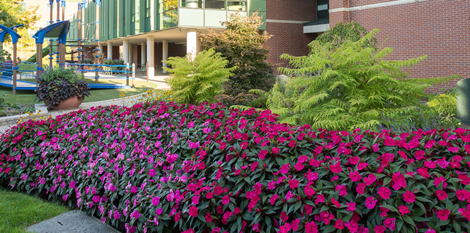 Akronchildrenshosp Banner 1440X500