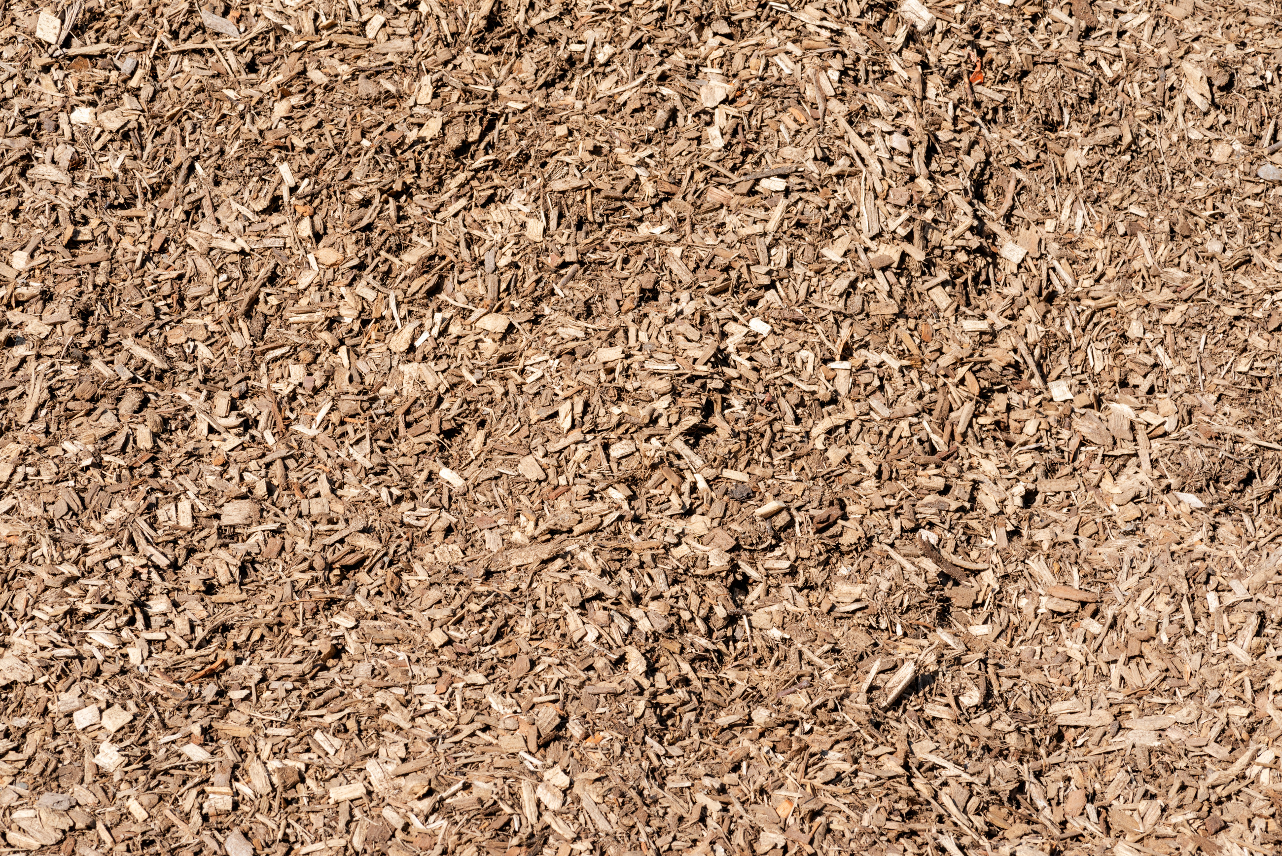 Raw Woodchips
