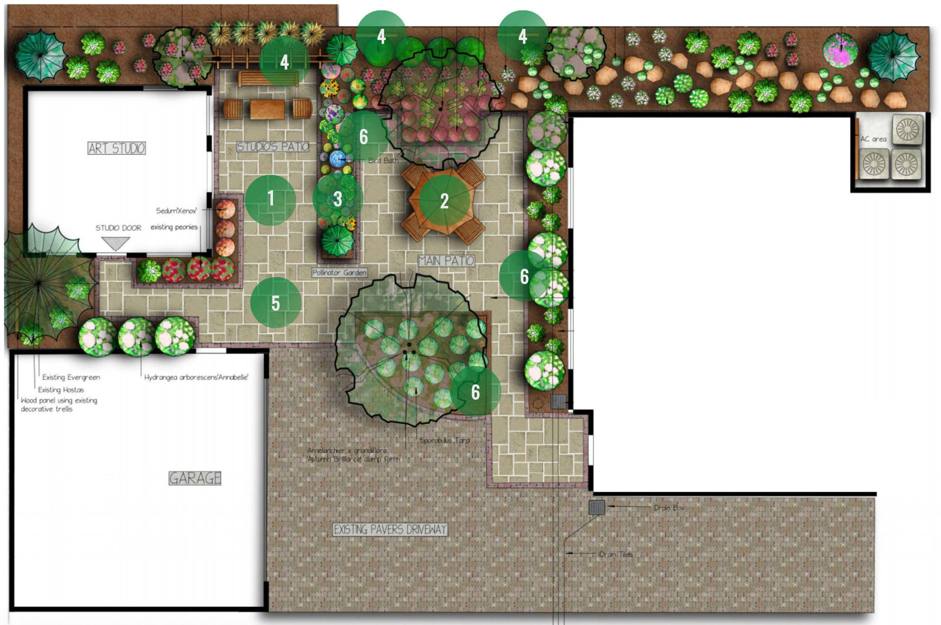 Garden Plan Pm