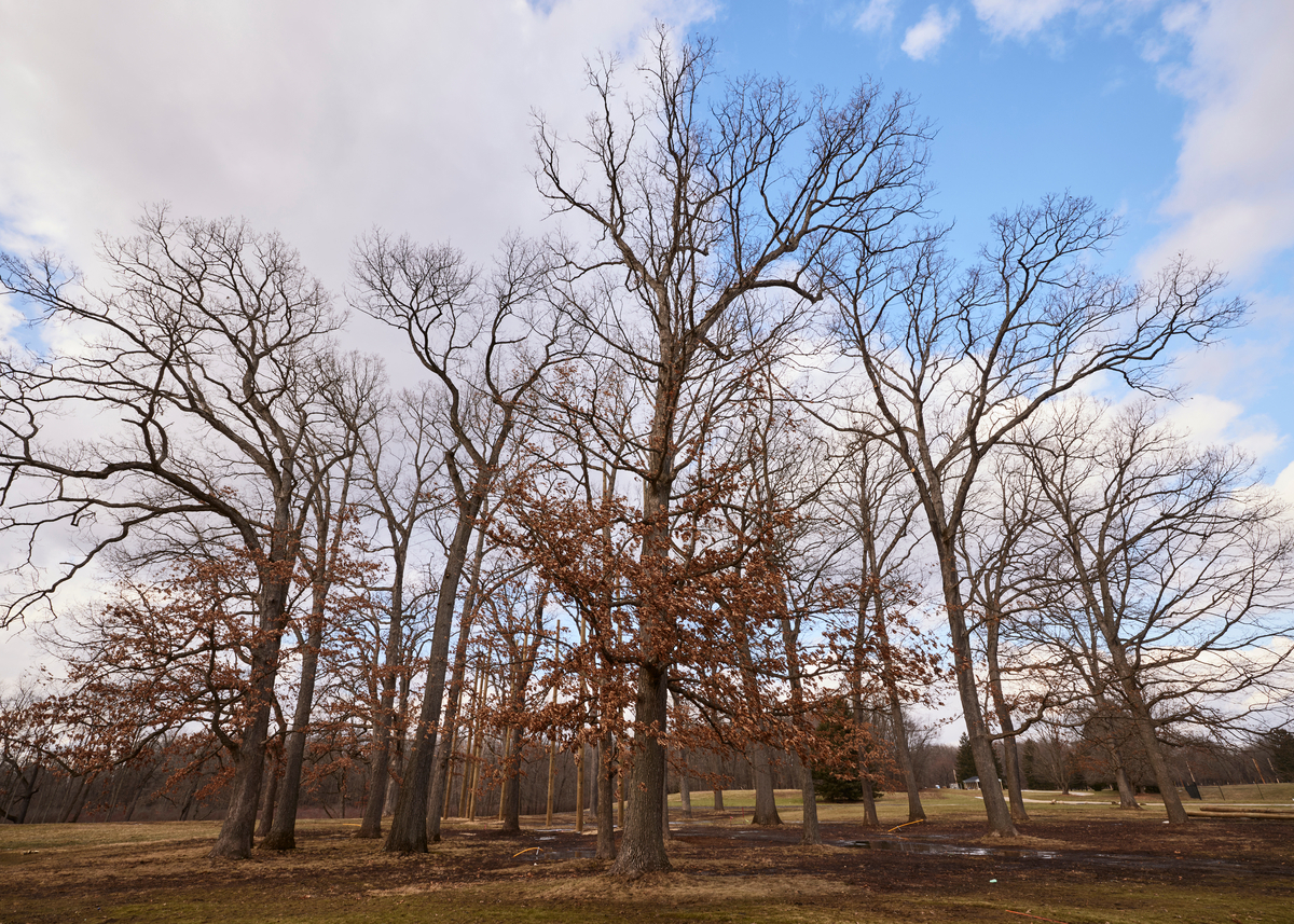 CORP 8928 1200X857 Eb97591 (1)