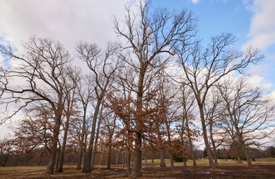 CORP 8928 1200X857 Eb97591 (1)