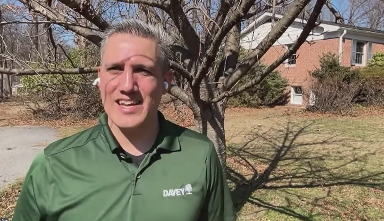 Screenshot 2026 03 31 124601