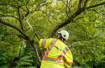 Tree Pruning