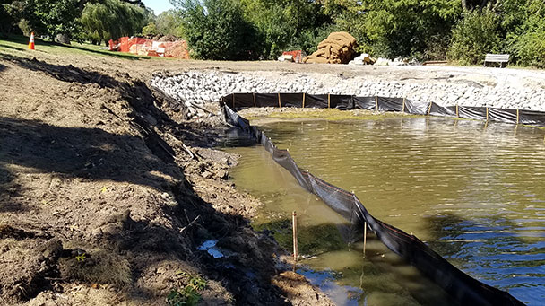 Environmental Project Profile Emerald Sideimage 608X341jpg